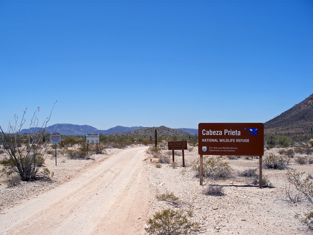 Entrance near Ajo: Cabeza Prieta National Wildlife Refuge, Arizona