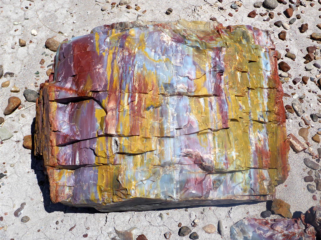 Multicolored log