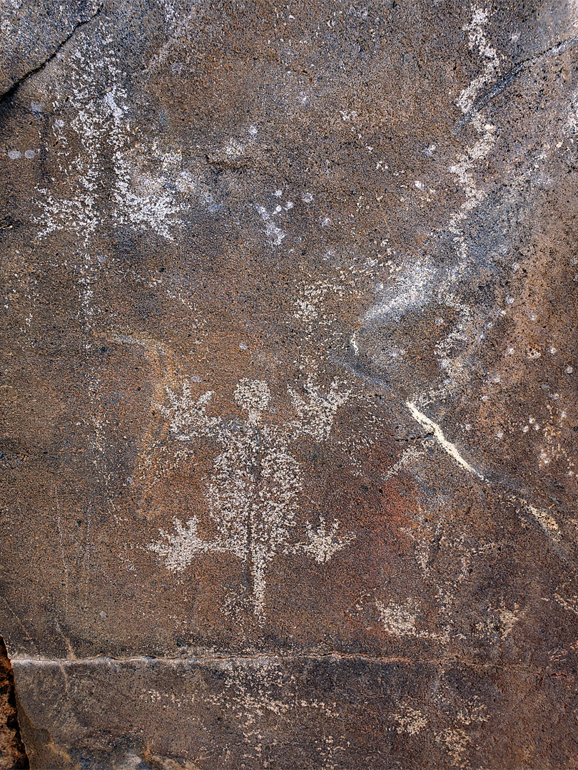 Lizard petroglyph