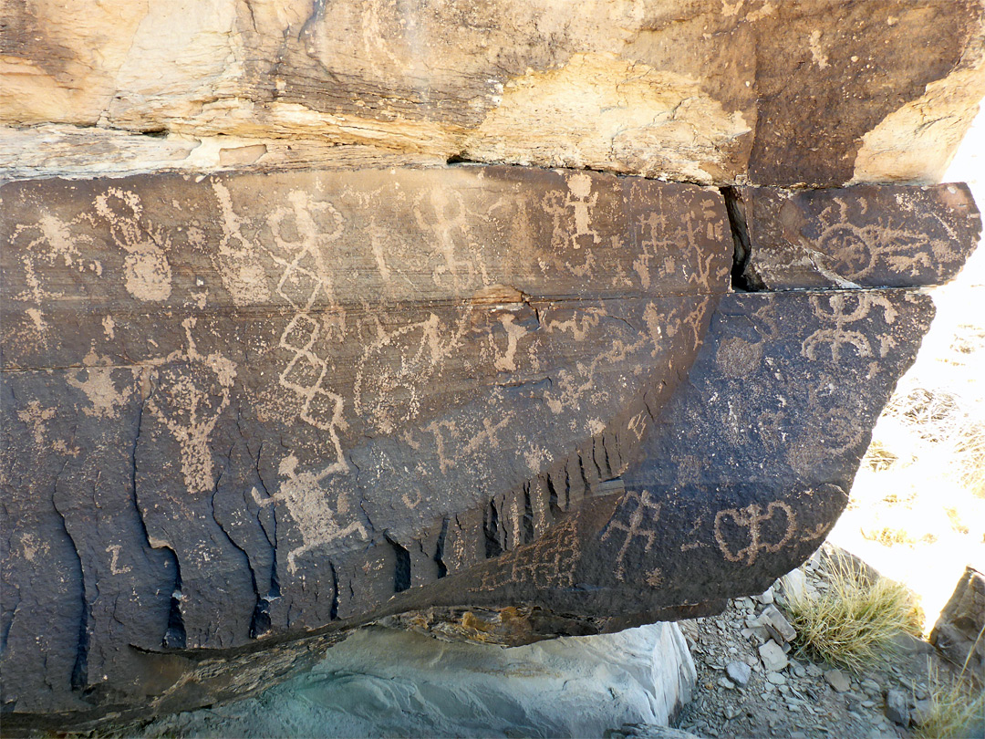 Many petroglyphs