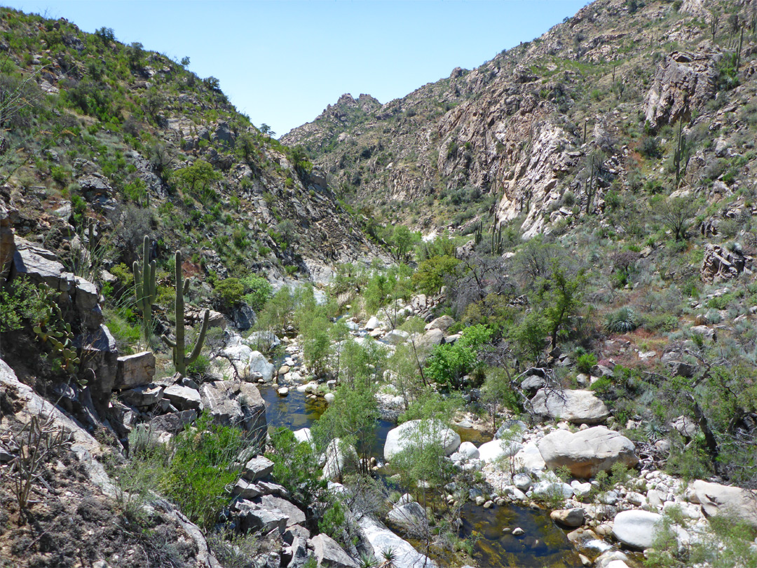 Sabino Canyon Trail Tucson Arizona