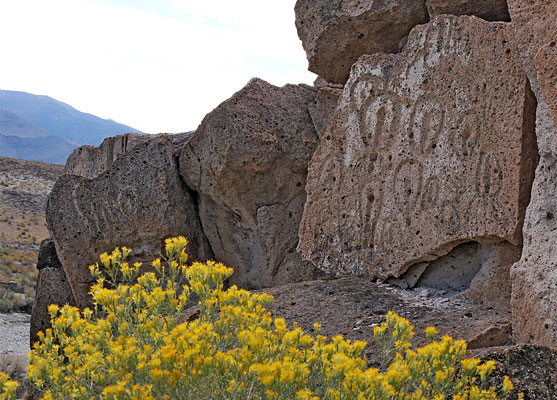 Vulva petroglyphs