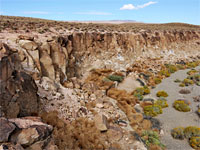 The main rock art site