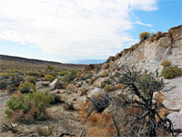 Bushes and boulders