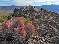 Death Valley Buttes