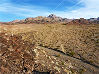 Grapevine Mountains