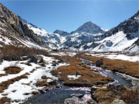 Snowy meadow