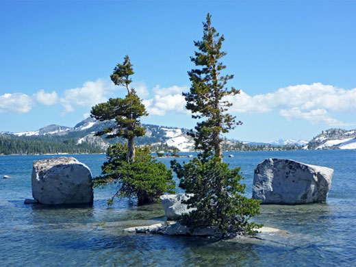 Boulders and trees