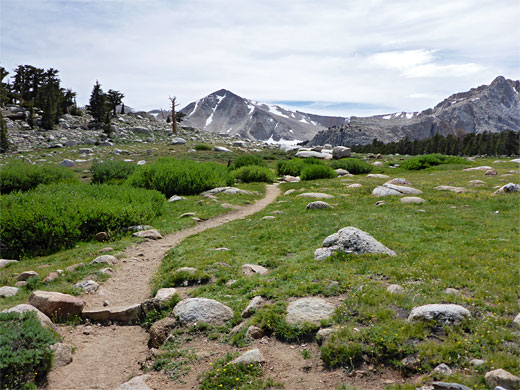 Above the treeline