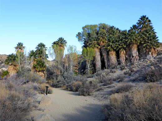 Path from Cottonwood Springs