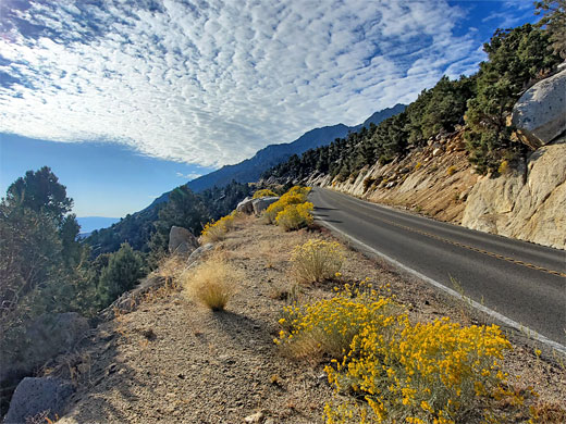 Whitney Portal Road