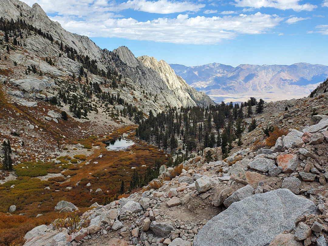 Above the basin