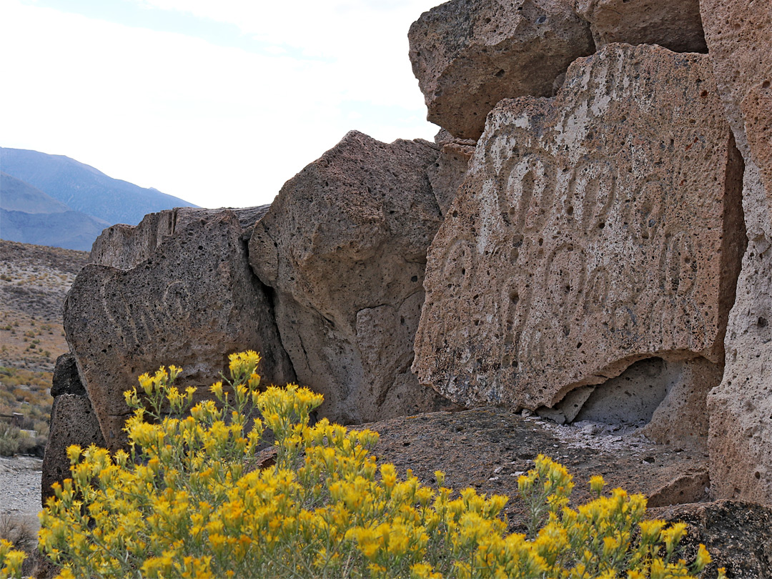 Vulva petroglyphs