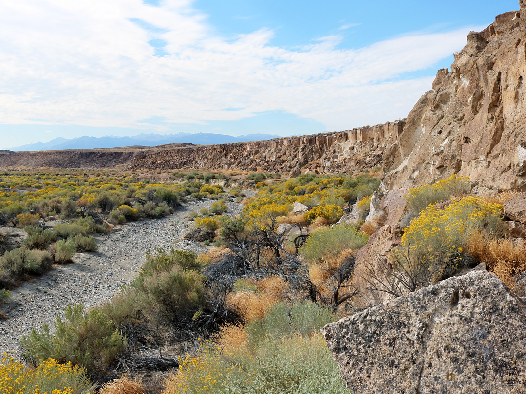 Low cliffs