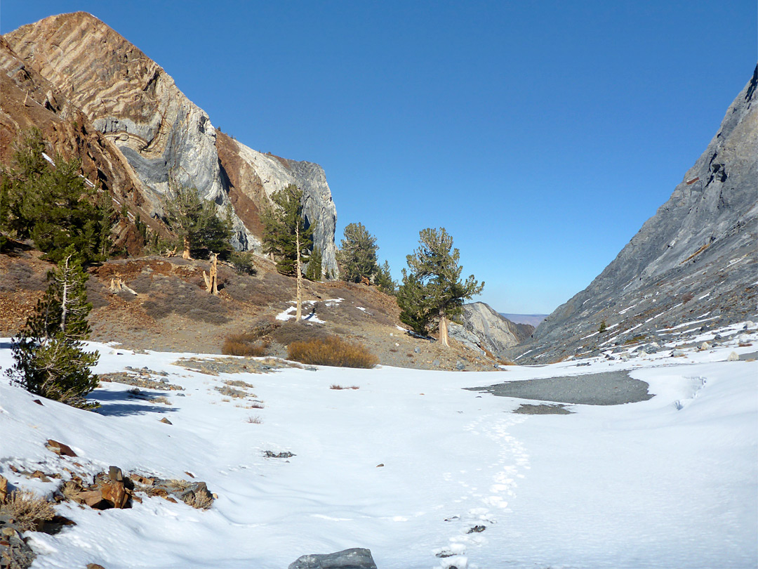 Snow by the lake