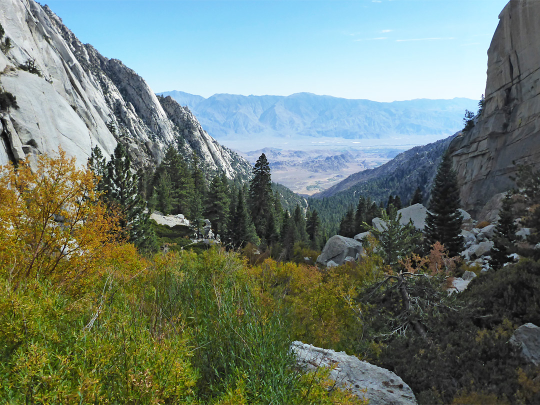 Trees and rocks