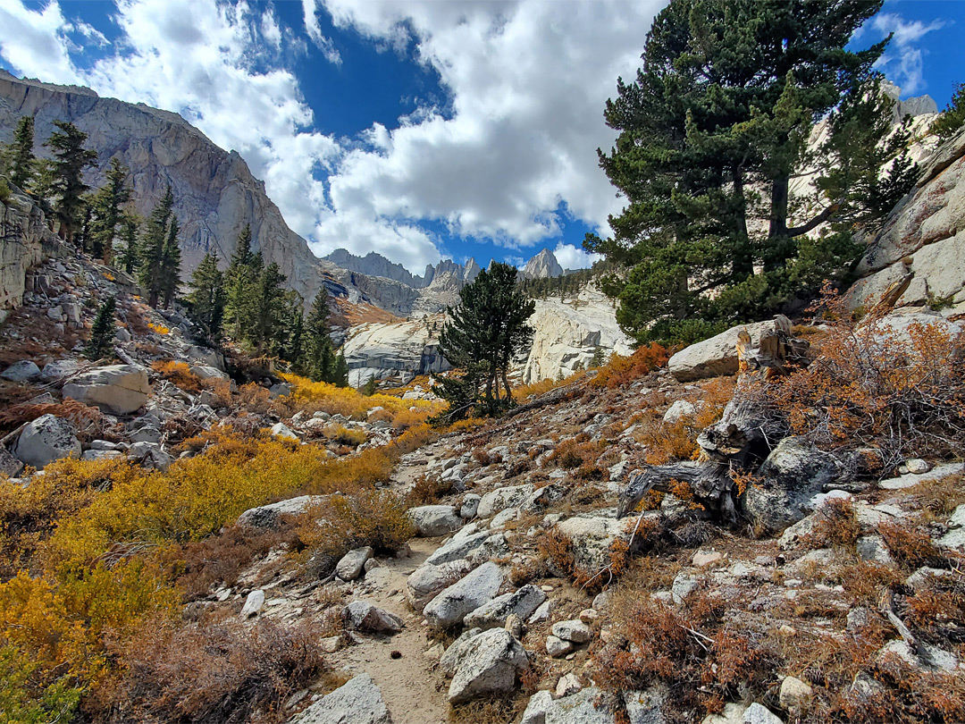 Upper end of the ravine