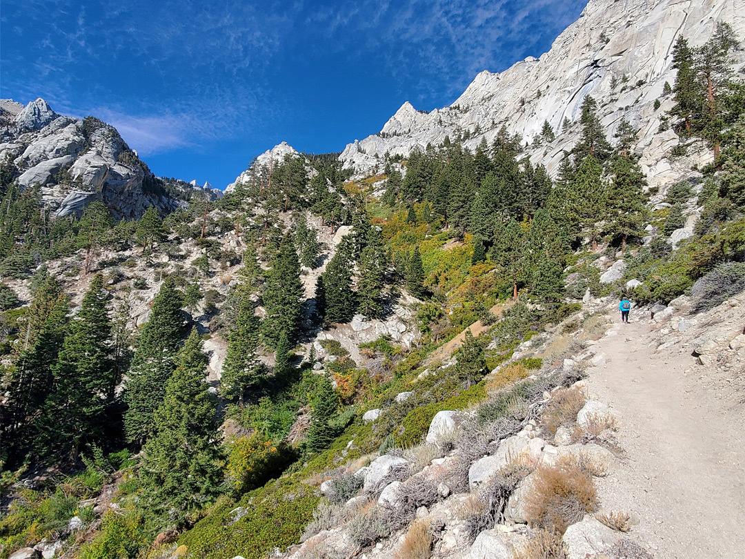 Partly wooded slopes