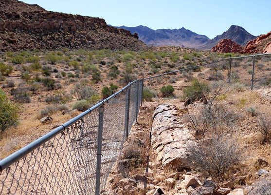 One of the largest petrified logs