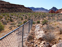 Petrified Logs Loop