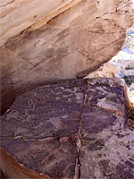 Petroglyphs in an alcove