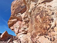 Many petroglyphs