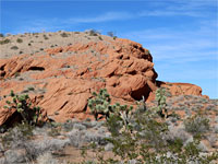 Red sandstone outcrop