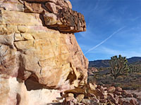 Sandstone cliff