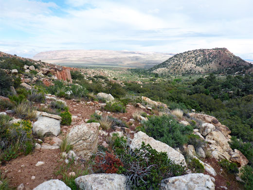 Rocks by the trail