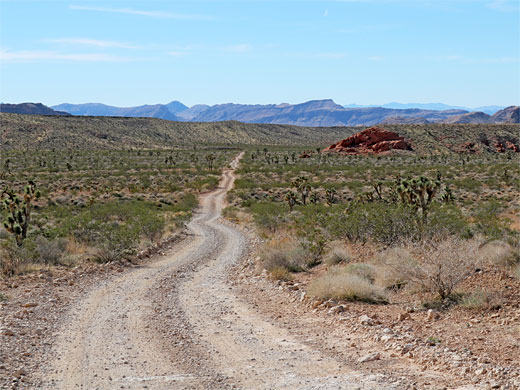 Track to the petroglyphs