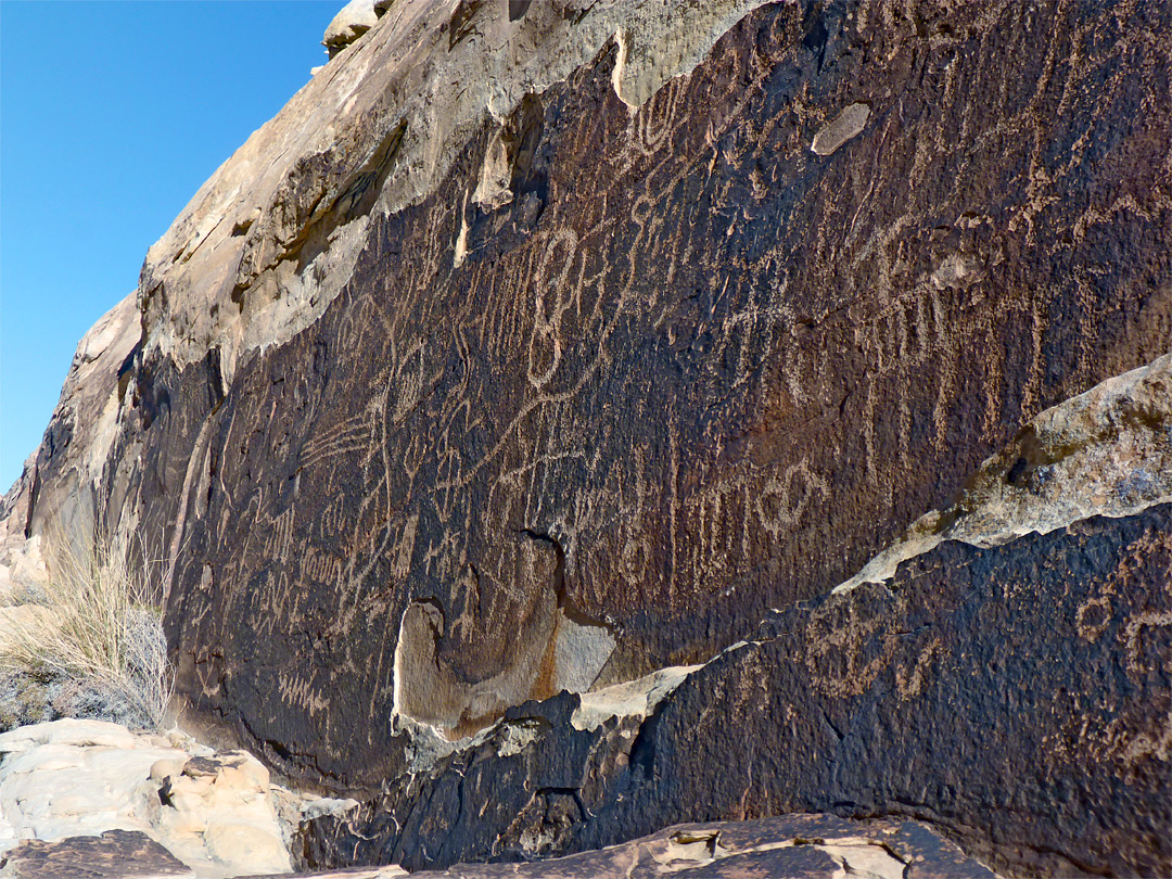 Petroglyphs on a dark cliff