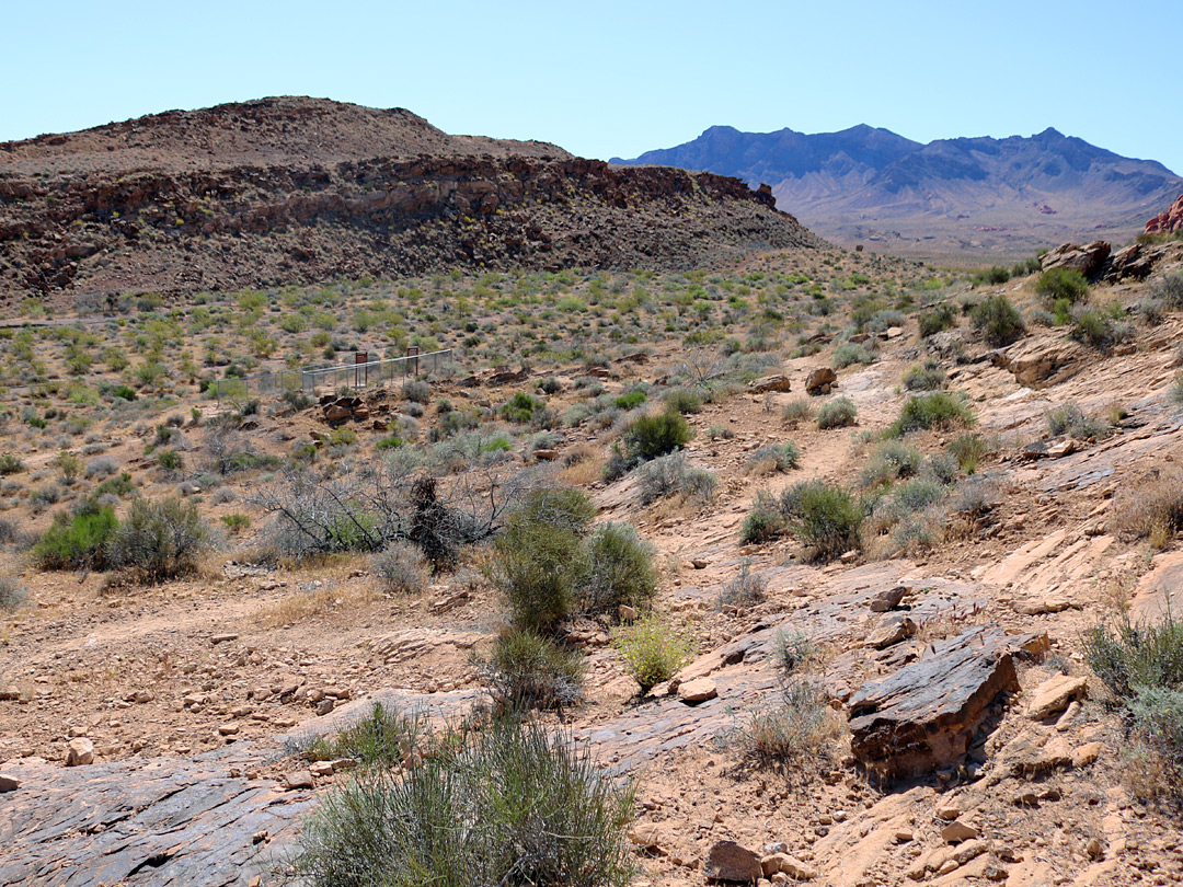 Wide view of the basin