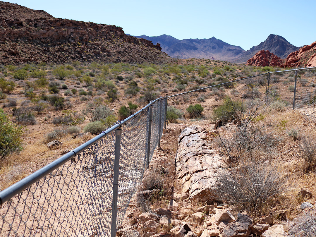 Fenced enclosure