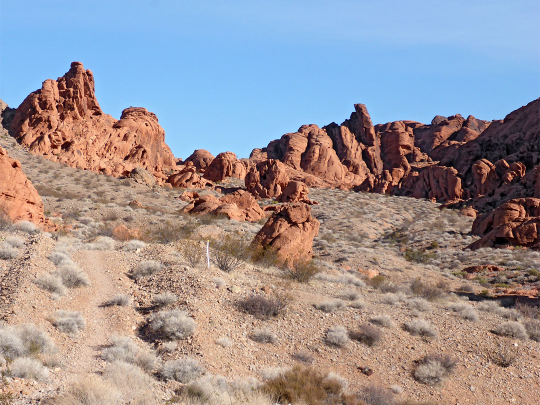 Trail towards red rocks