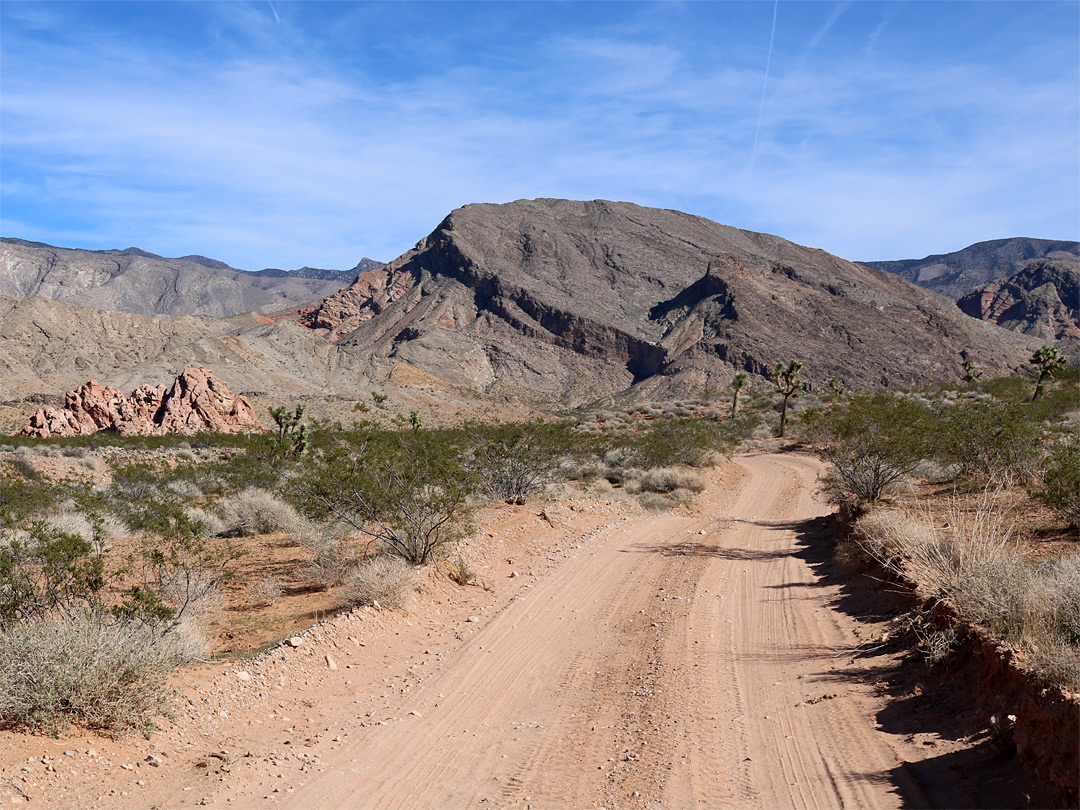 Approaching the trailhead