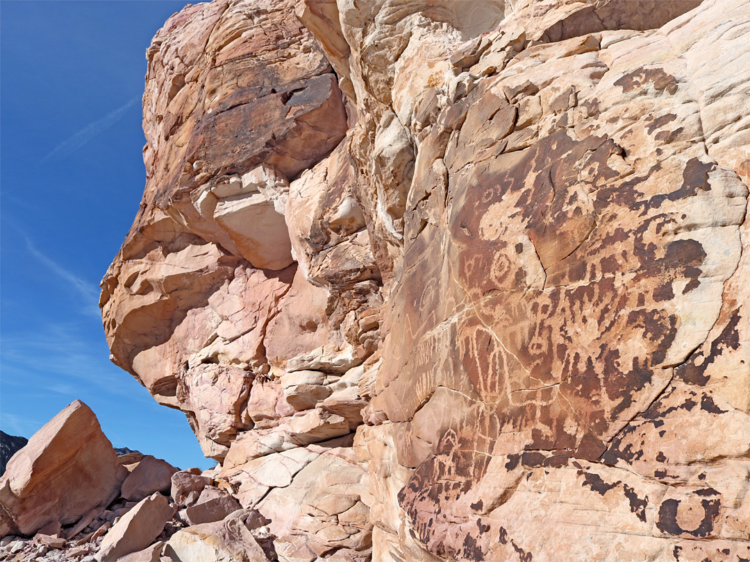 Many petroglyphs