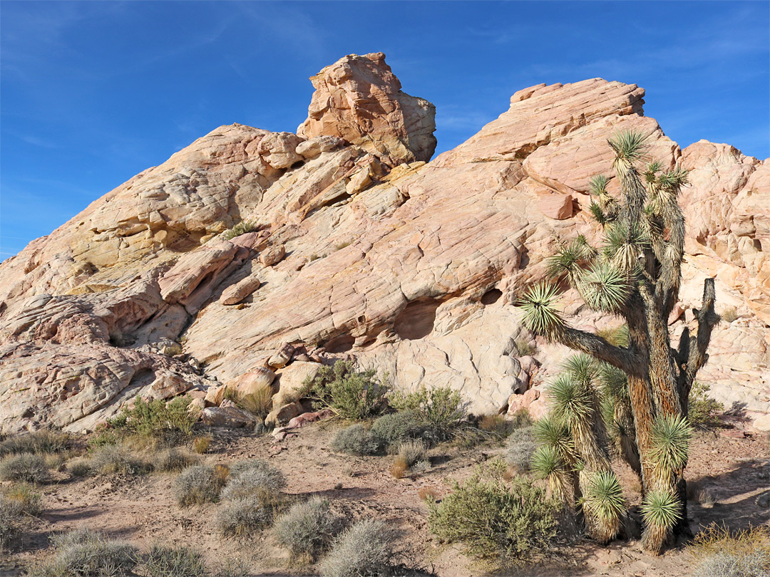 Light-colored sandstone