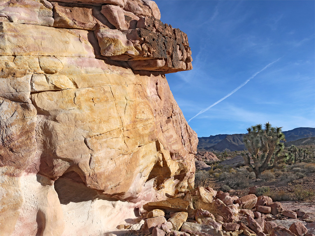 Sandstone cliff