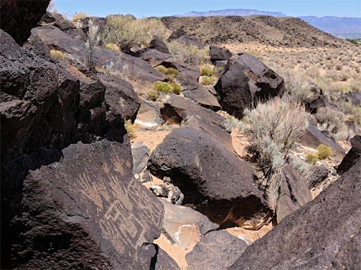 Near the end of the trail