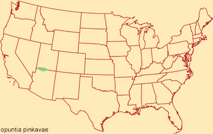 Distribution map for opuntia pinkavae