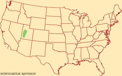 Distribution map for sclerocactus spinosior