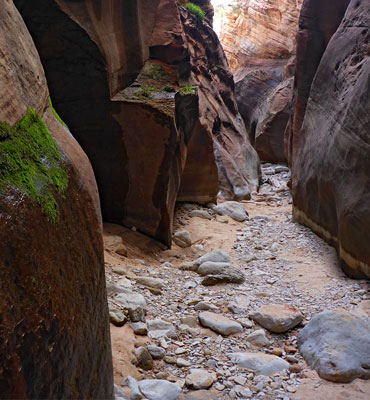 Mossy passage in upper Clear Creek