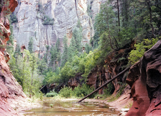 Slot Canyons Of The American Southwest West Fork Of Oak Creek