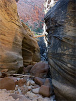 Boulders and logs