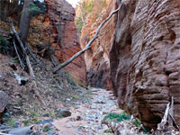 Pebbly streambed