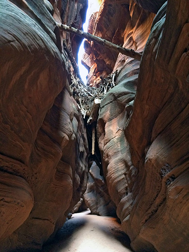 Slot canyon san diego hikers