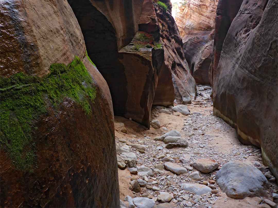 Dark canyon walls