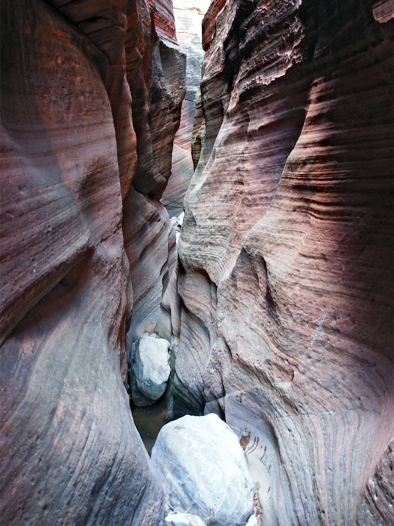 Slot canyons in zion np hotels