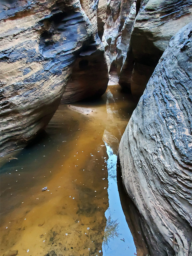 Undulating canyon walls