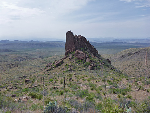 Oak Spring Trail, Big Bend National Park, Texas